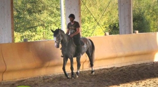  Escuela de equitación occidental en la zona de Gorizia